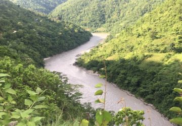 <?php the_title();?>