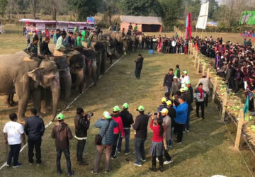 <?php the_title();?>