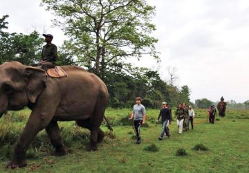 <?php the_title();?>