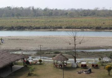 <?php the_title();?>