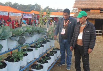 <?php the_title();?>