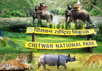 <?php the_title();?>