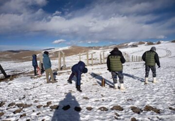 <?php the_title();?>